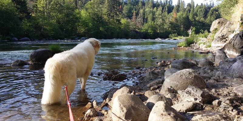 Camper submitted image from Tucker Park Campground