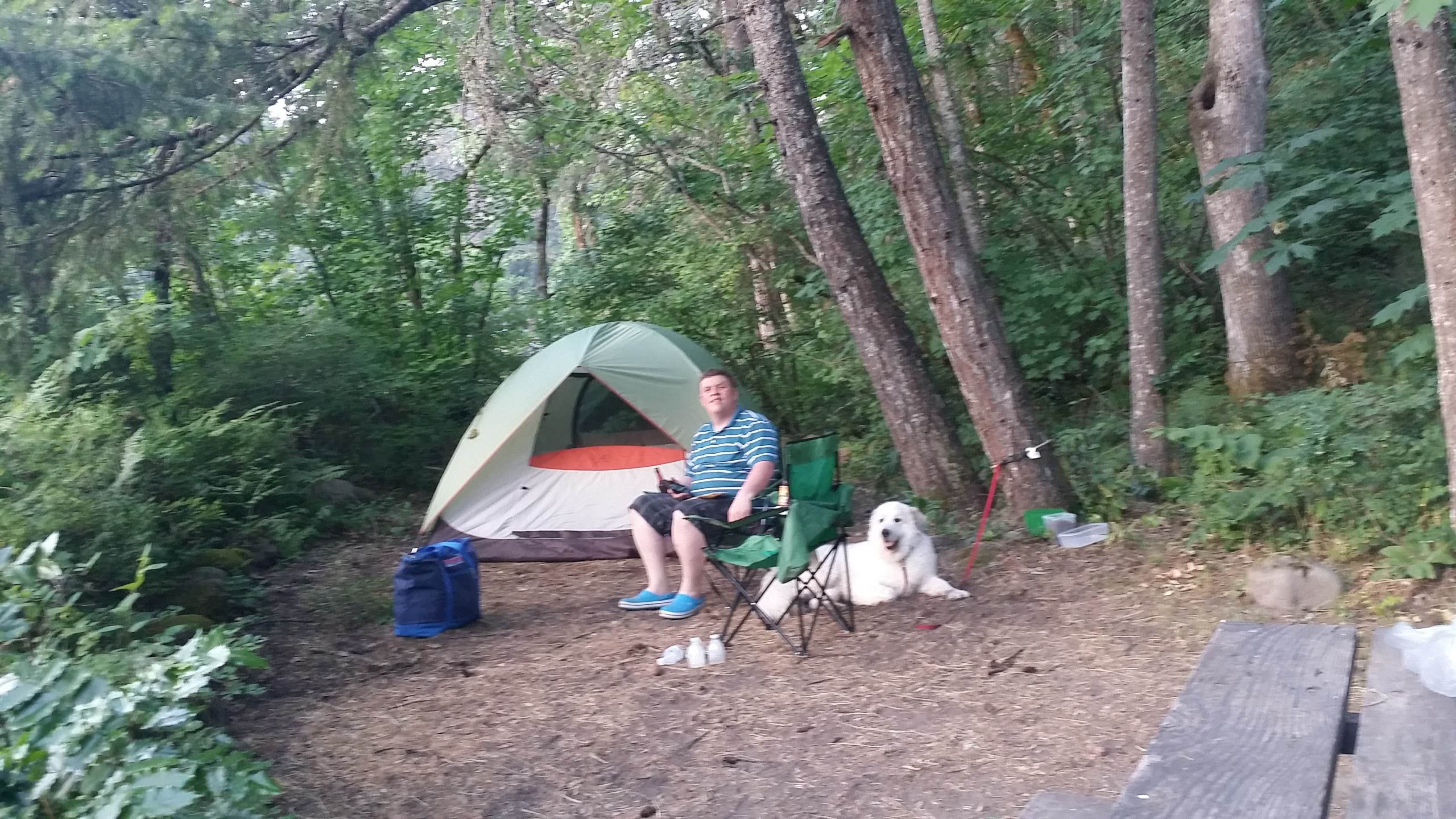 Terésa M.'s photo of camping with pets at Tucker Park Campground near Hood River, OR