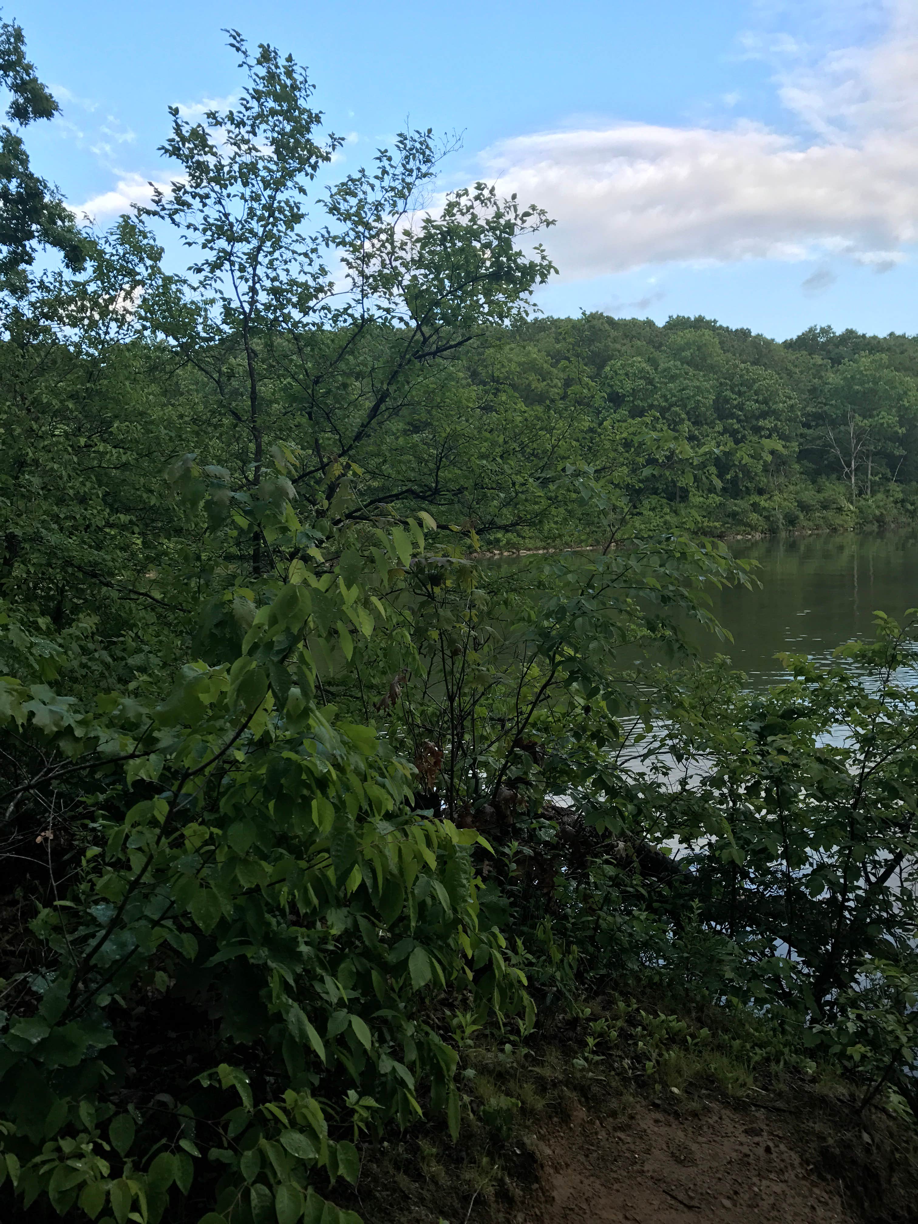 Thousand Hills State Park Campground Kirksville, MO