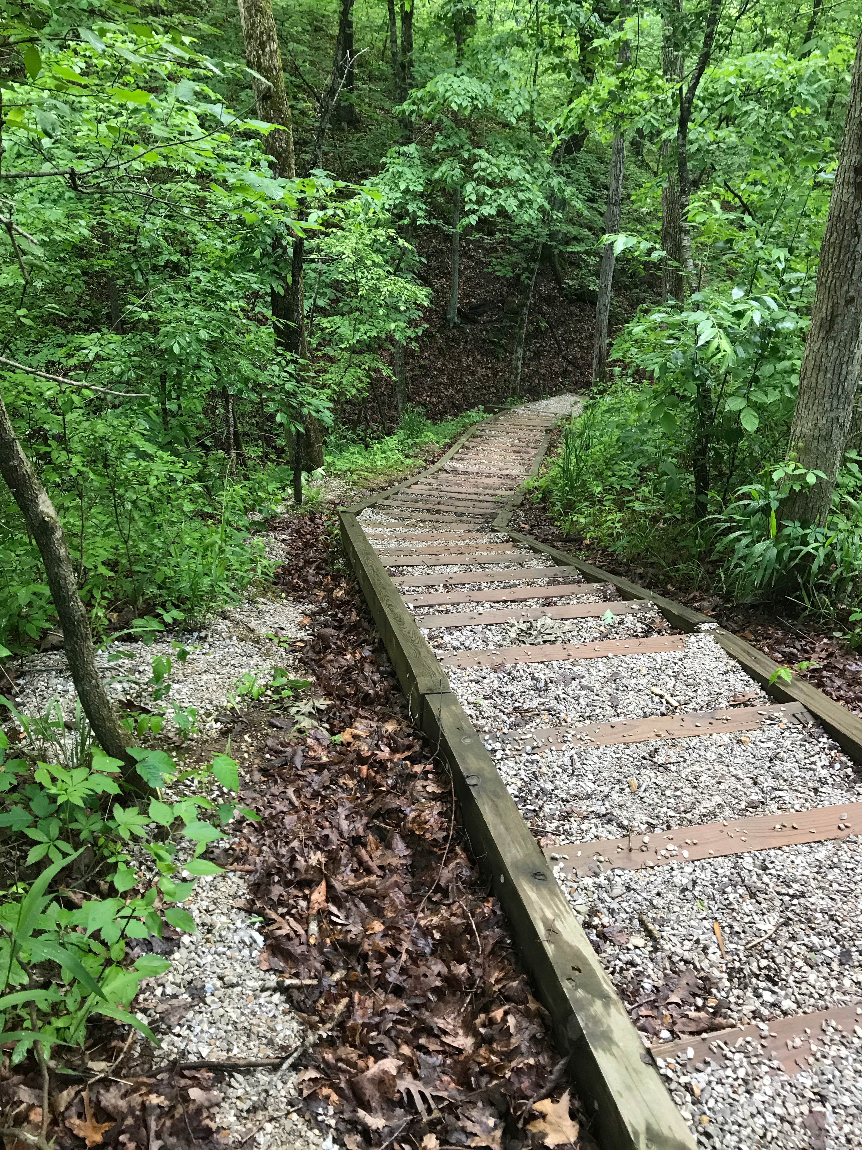 Camper submitted image from Thousand Hills State Park Campground - 2
