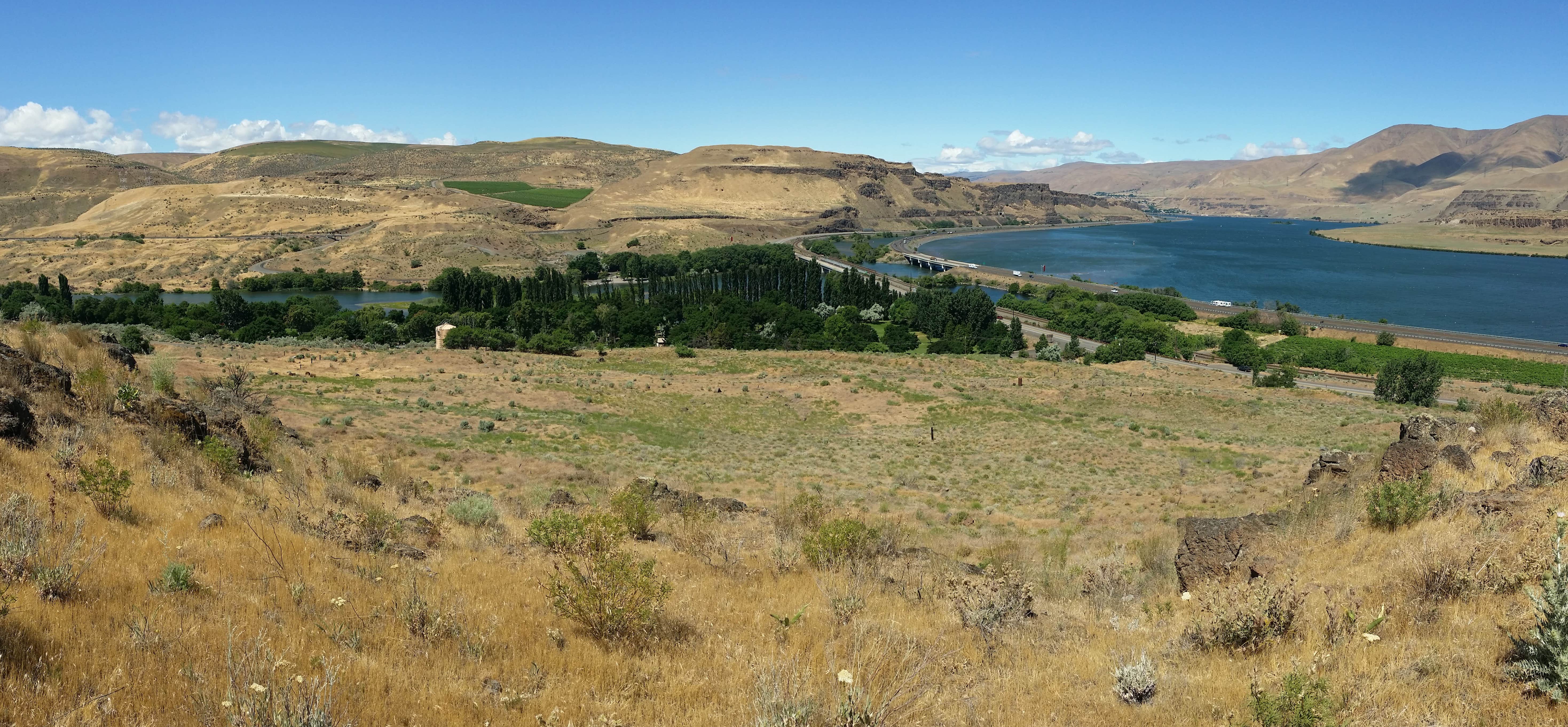 Camper submitted image from Deschutes River State Recreation Area - 1