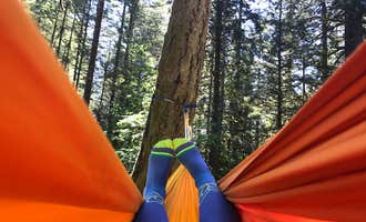 Camping near Sandy Riverfront RV Resort: Oxbow Regional Park, Corbett, Oregon