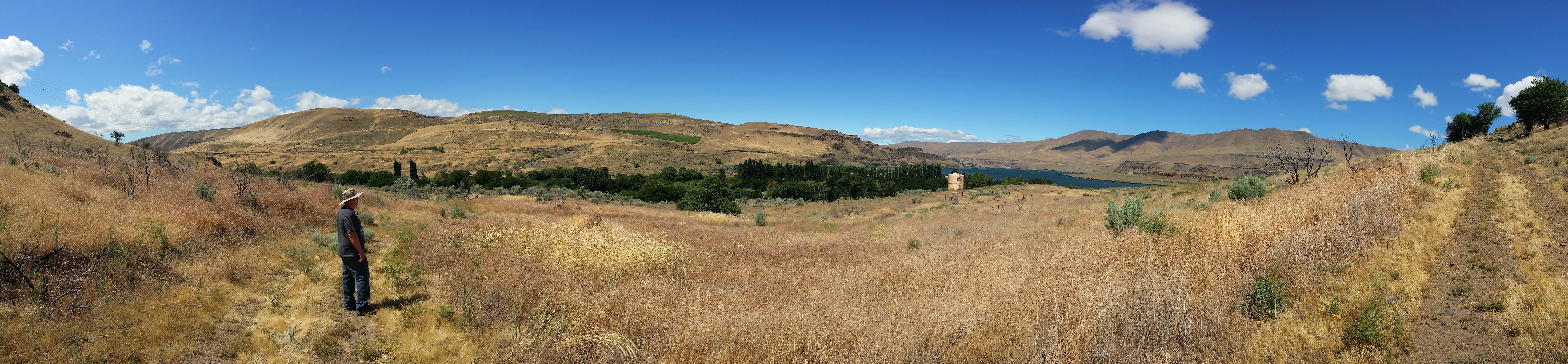 Camper-submitted photo at Deschutes River State Recreation Area near Mikkalo, OR