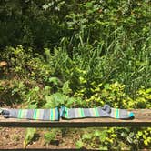 Review photo of Oxbow Regional Park by Stephanie Z., May 27, 2017