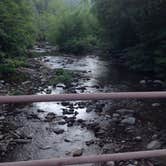 Review photo of Black Mountain Campground - CLOSED INDEFINITELY by Mike B., May 27, 2017