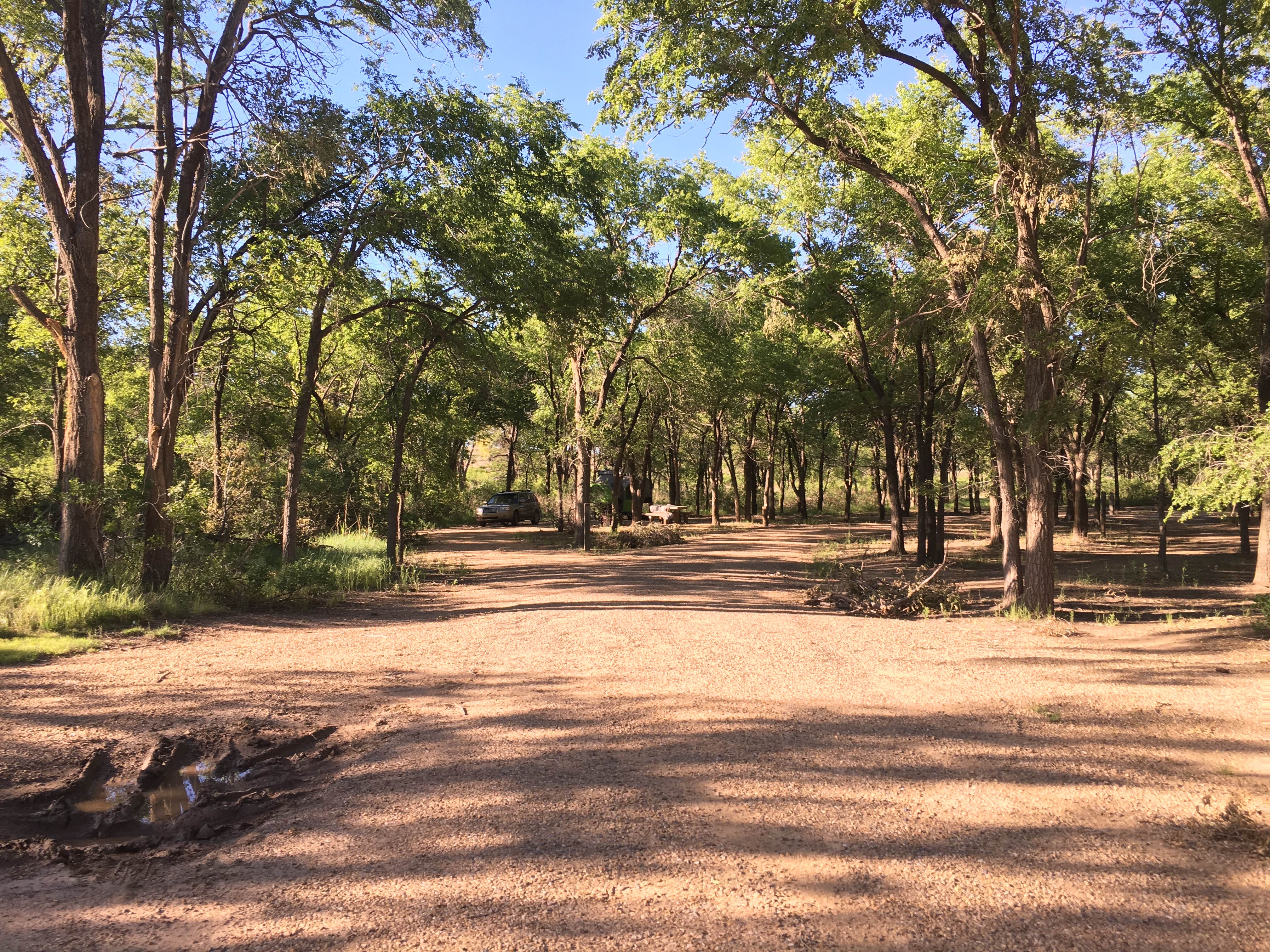 Camper submitted image from Lake McClellan Campground - 2
