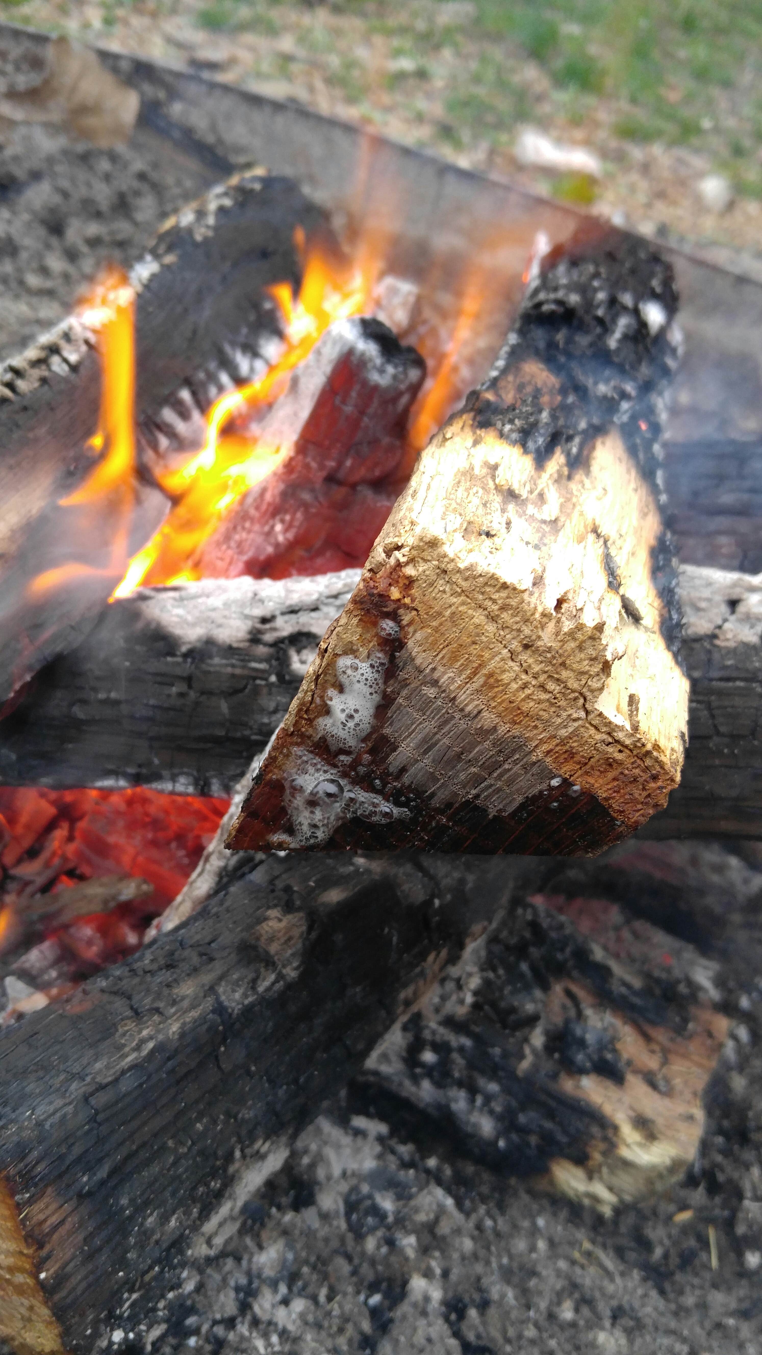 Camper submitted image from Lake of the Ozarks State Park Campground - 5
