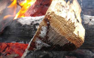 Ryan A.'s photo at Lake of the Ozarks State Park Campground near Fort Leonard Wood, MO