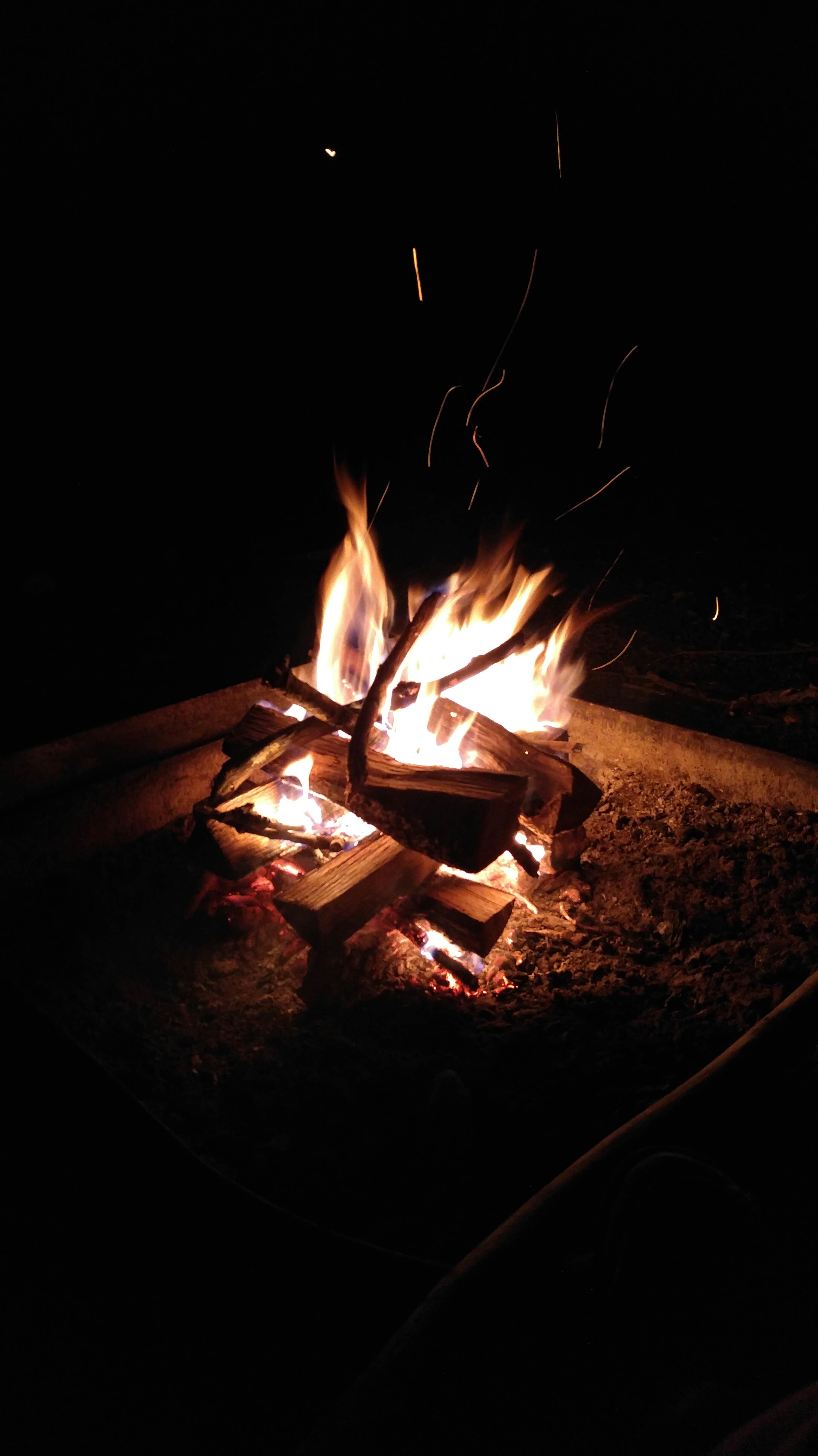 Camper-submitted photo at Lake of the Ozarks State Park Campground in Missouri