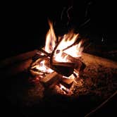 Review photo of Lake of the Ozarks State Park Campground by Ryan A., May 27, 2017