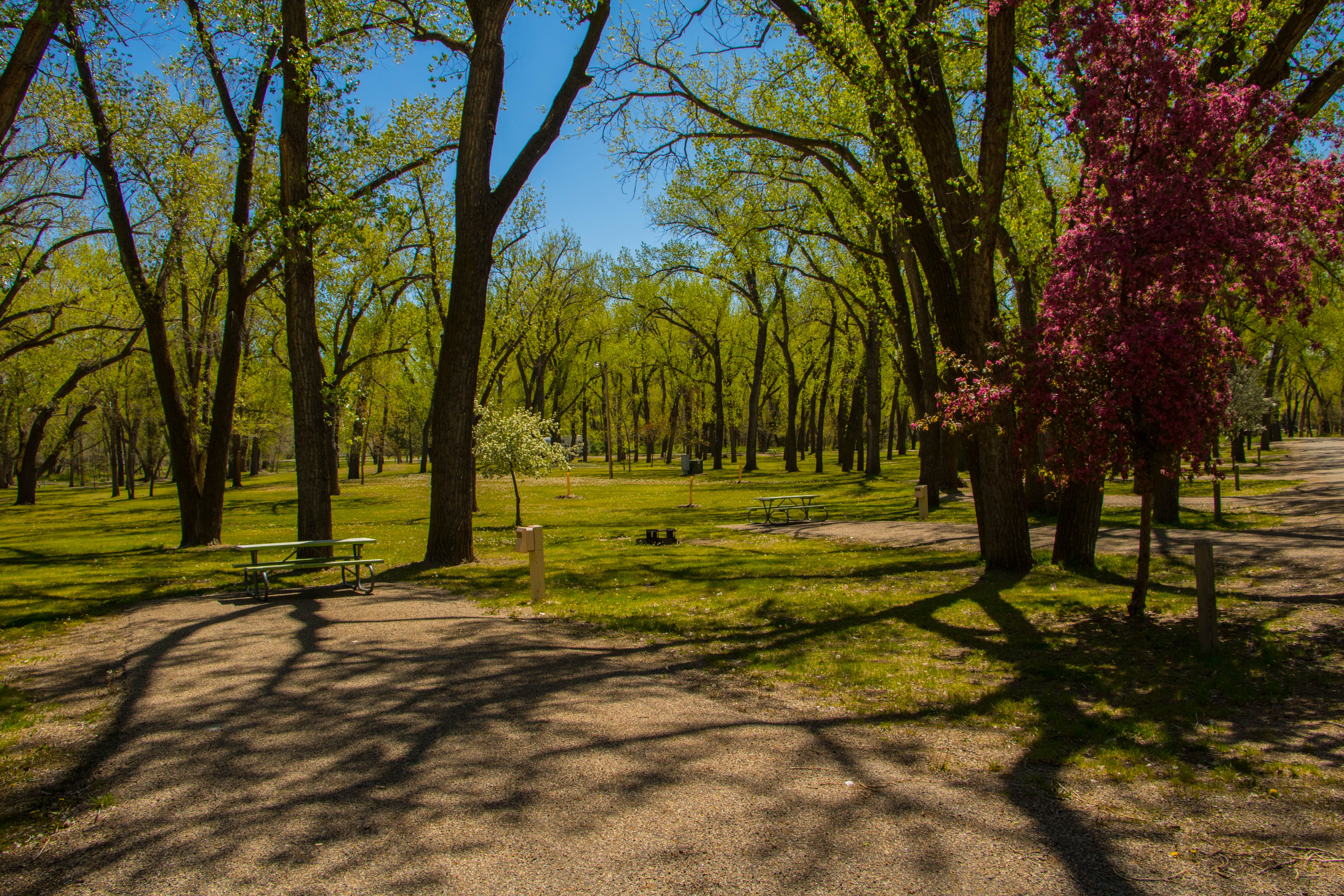 Camper submitted image from Campground 3 — Oahe Downstream Recreation Area - 1