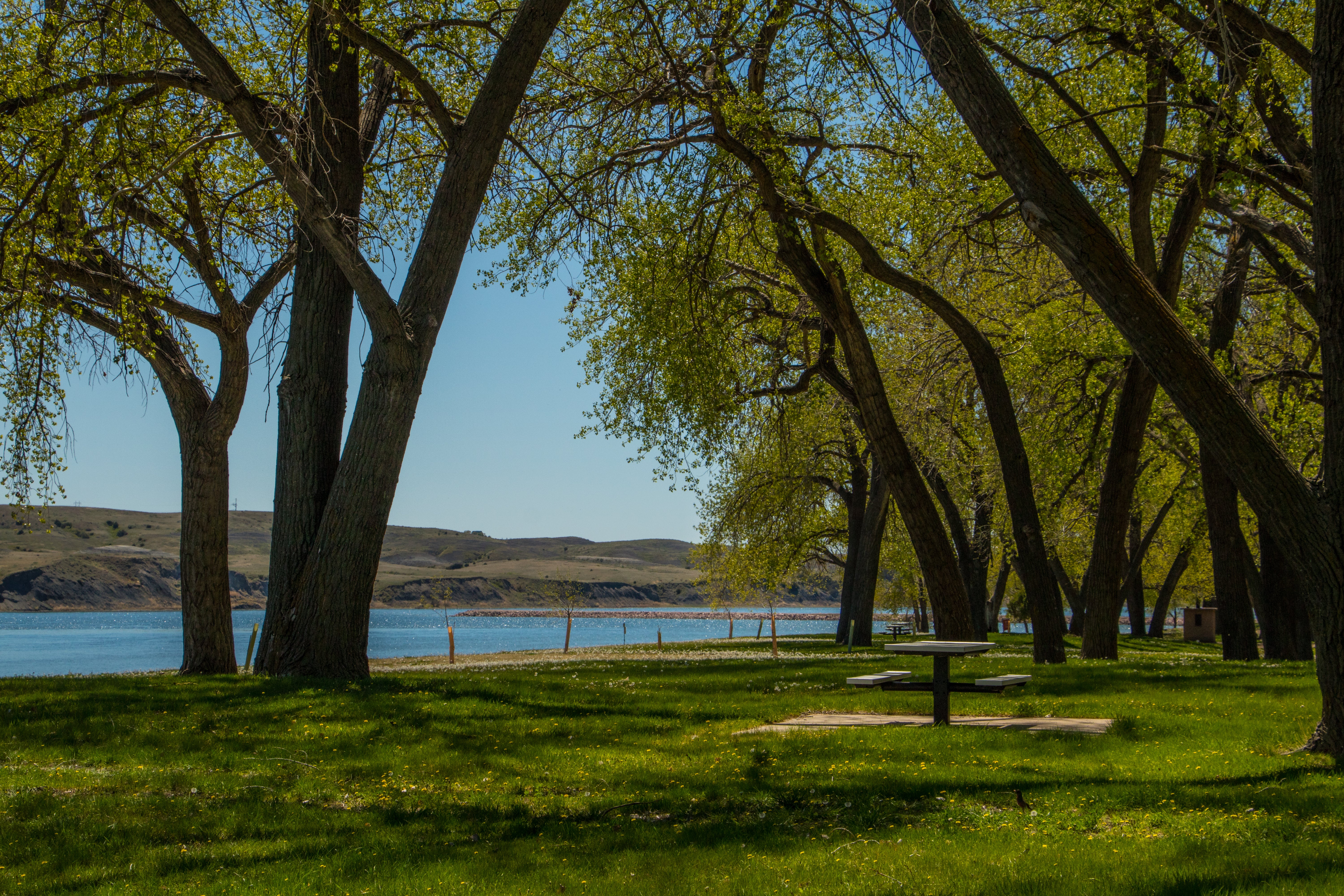 Camper submitted image from Campground 3 — Oahe Downstream Recreation Area - 2