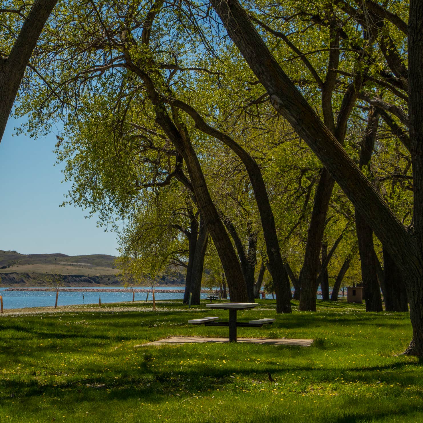 Oahe Downstream Campground 3 Camping Fort Pierre, SD The Dyrt