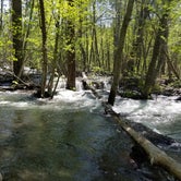 Review photo of Toll Bridge Park Campground by Dennis H., May 28, 2017