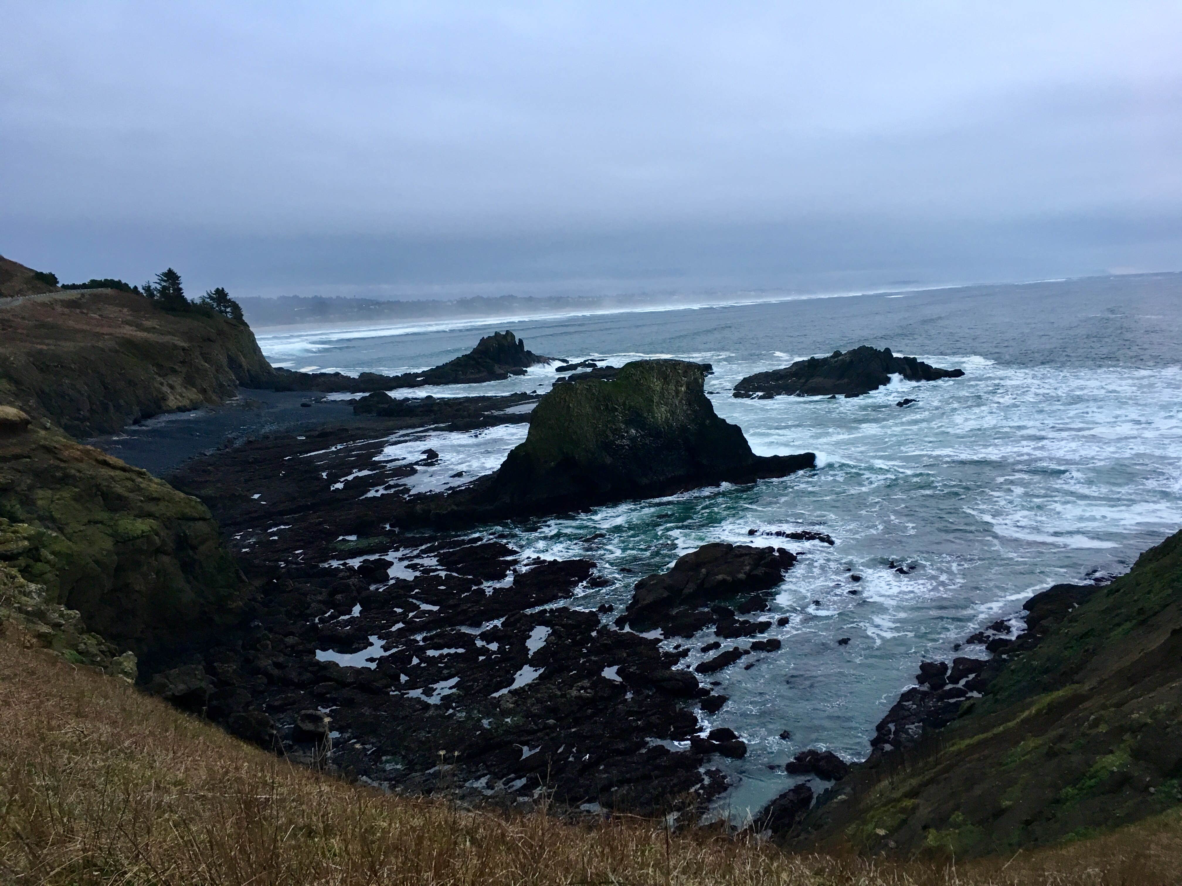 Camper submitted image from Umpqua Lighthouse State Park Campground - 4