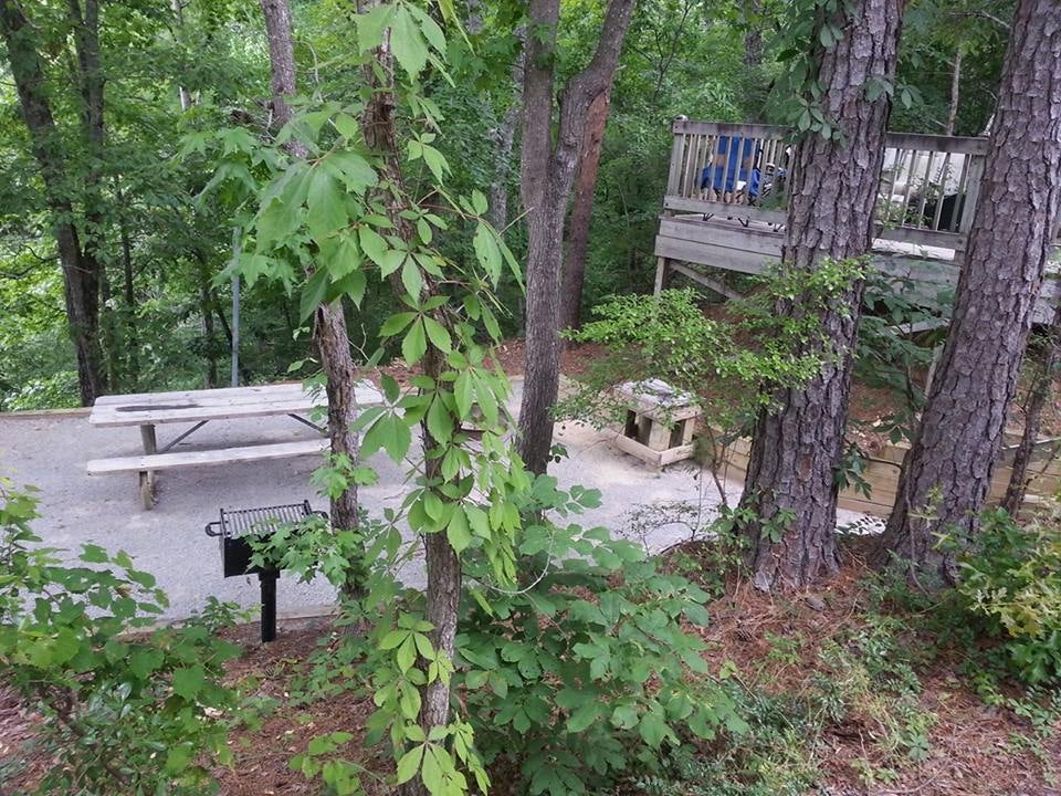 Camper submitted image from Deerlick Creek - 4
