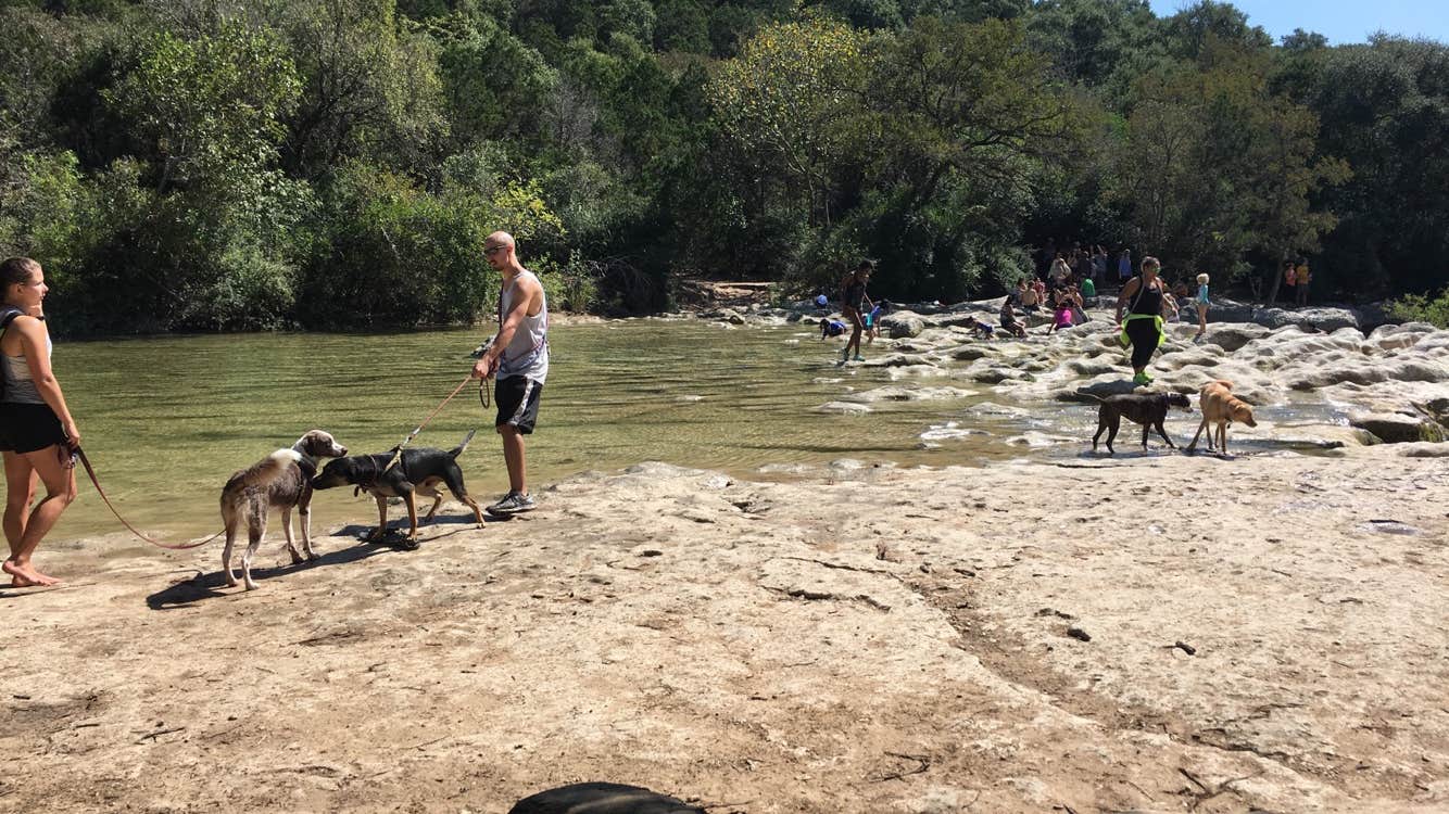 Vernon L Richards Riverbend Park photo 2