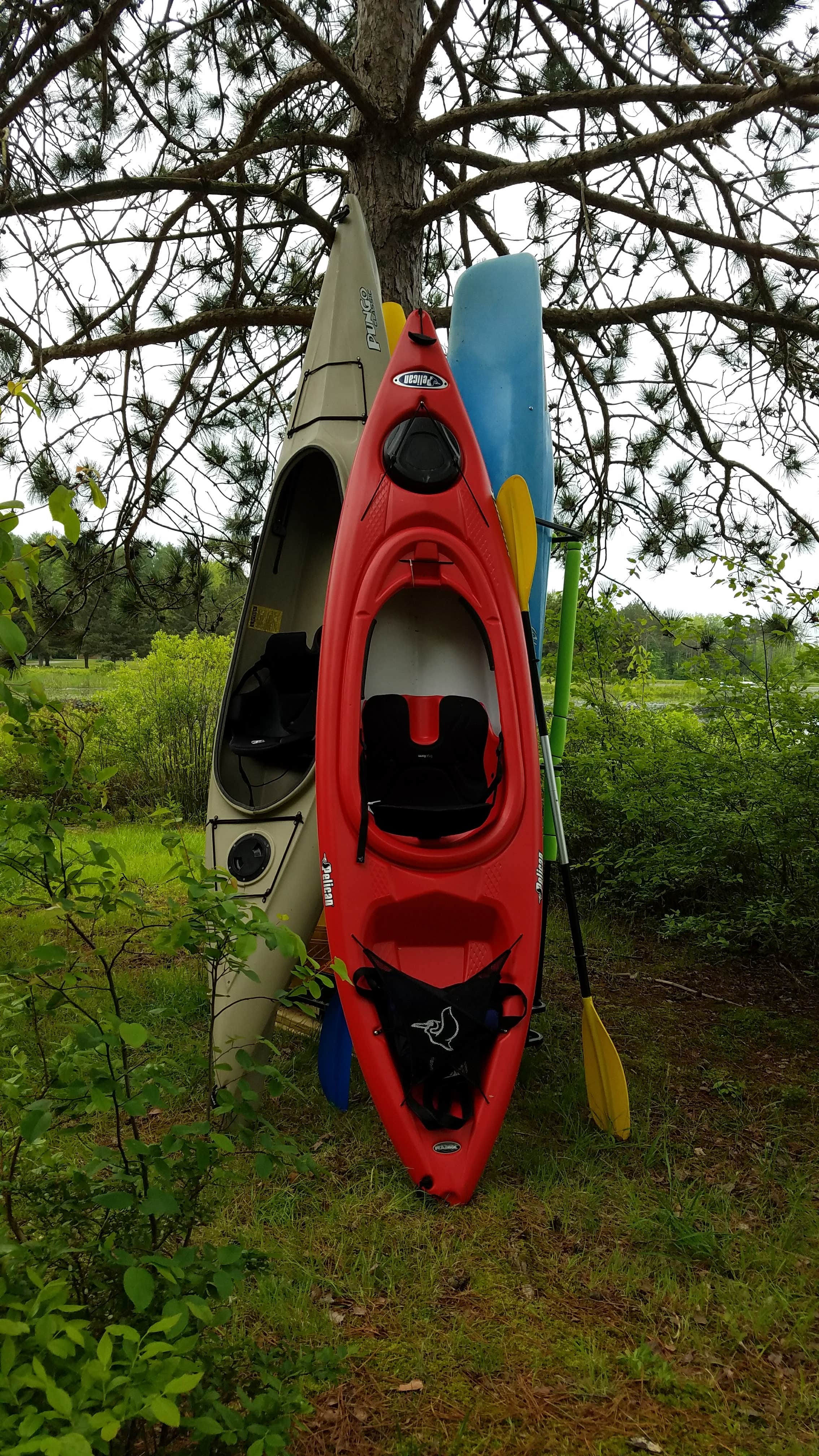 Camper submitted image from Chenango County Cook Park - 2