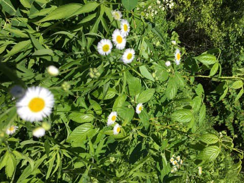 Camper-submitted photo at Rice Creek Chain of Lakes Regional Park near Saint Croix National Scenic River