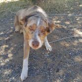 Review photo of Green Valley Campground — Cuyamaca Rancho State Park by Katie R., May 29, 2017