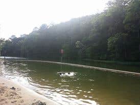 Camper submitted image from Deerlick Creek - 2