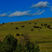 Review photo of Cottonwood Campground — Theodore Roosevelt National Park by Shari  G., May 29, 2017