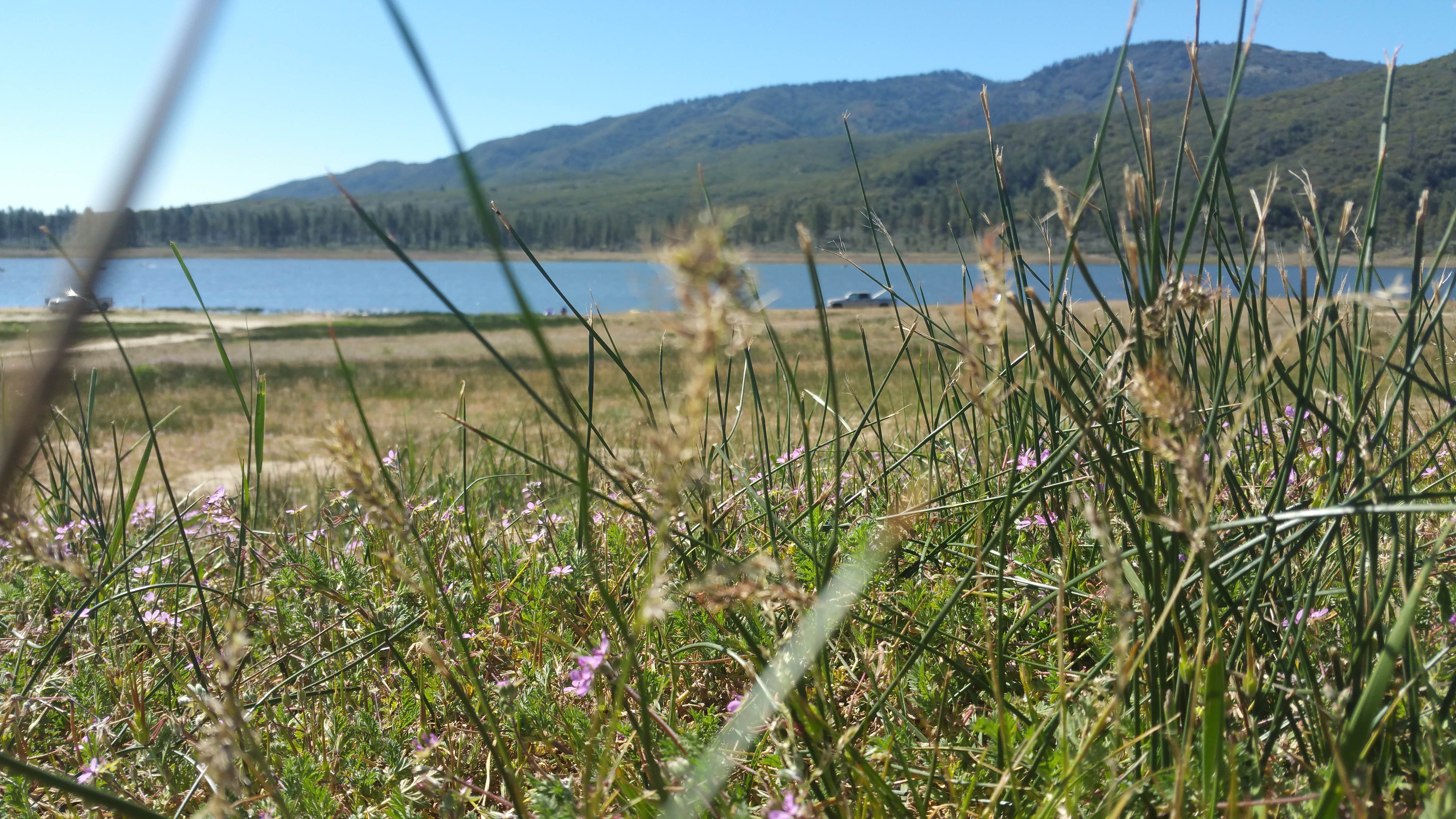 Lake Hemet Campground The Dyrt