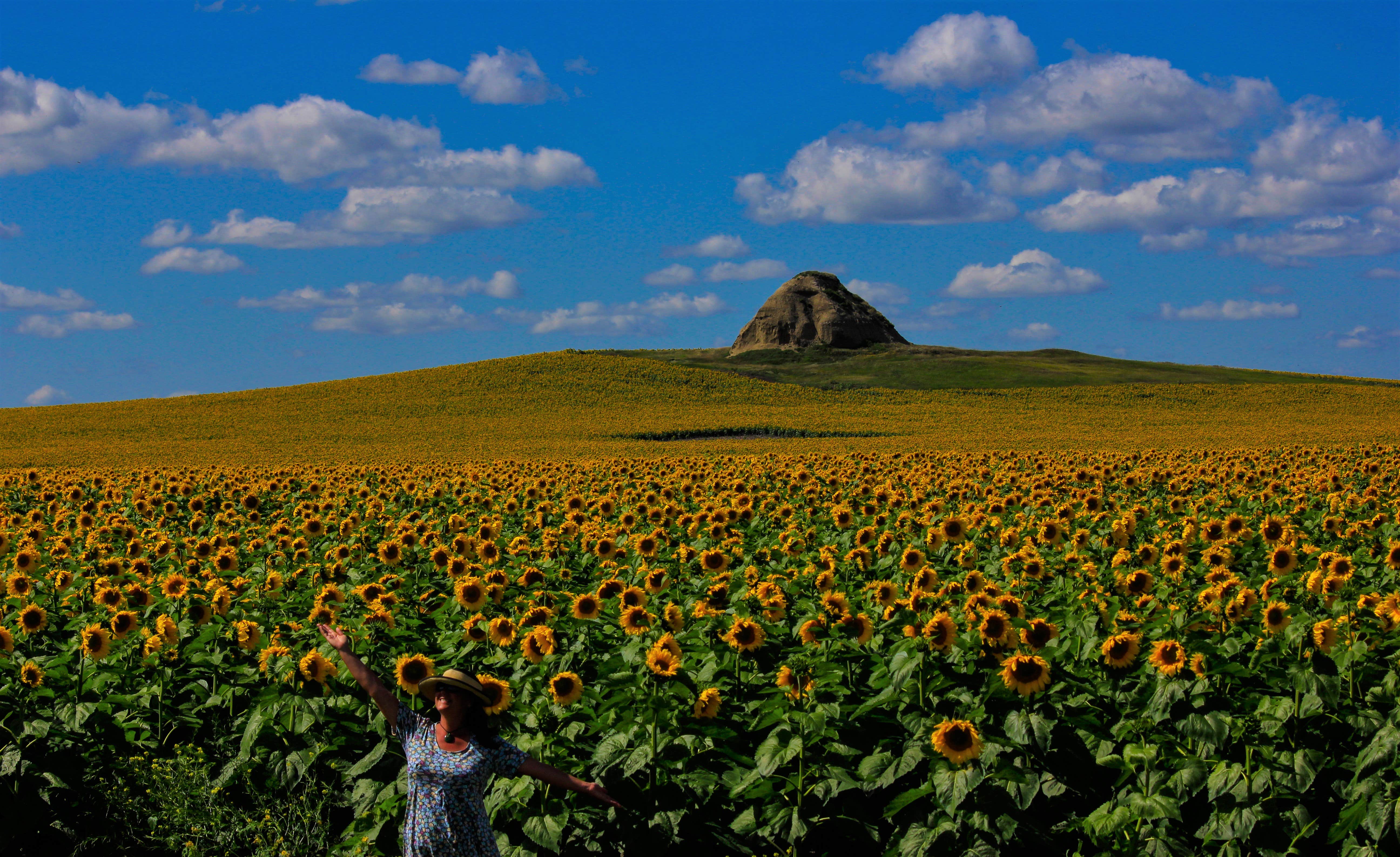 Cottonwood Campground — Theodore Roosevelt National Park