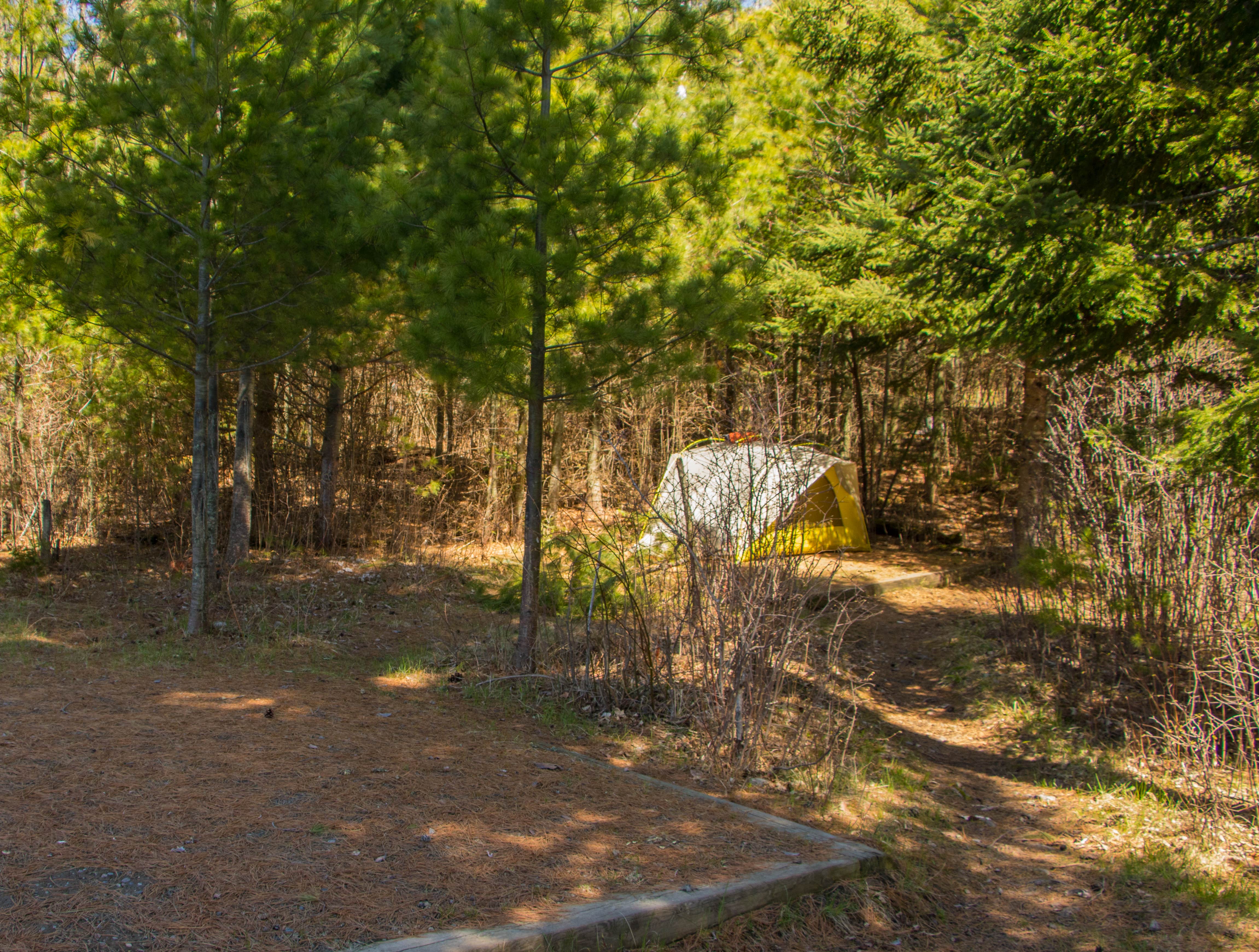 Shari  G.'s photo at Johnson Bay N13 — Voyageurs National Park near International Falls, MN