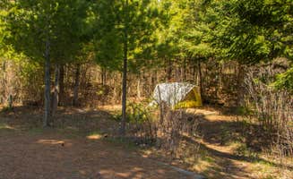 Shari  G.'s photo at Johnson Bay N13 — Voyageurs National Park near Orr, MN