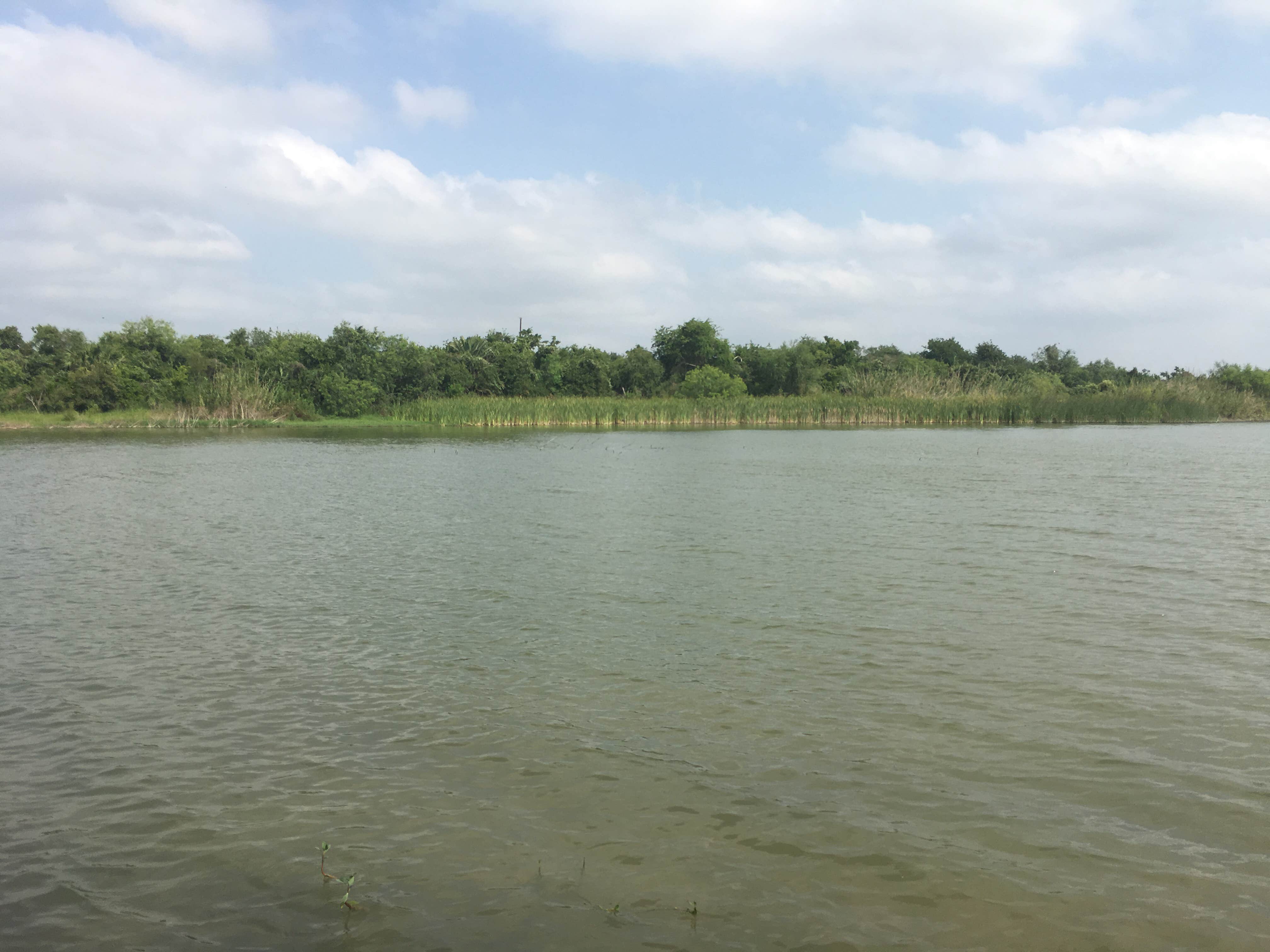 Camper-submitted photo at Lake Corpus Christi State Park Campground near Corpus Christi, TX