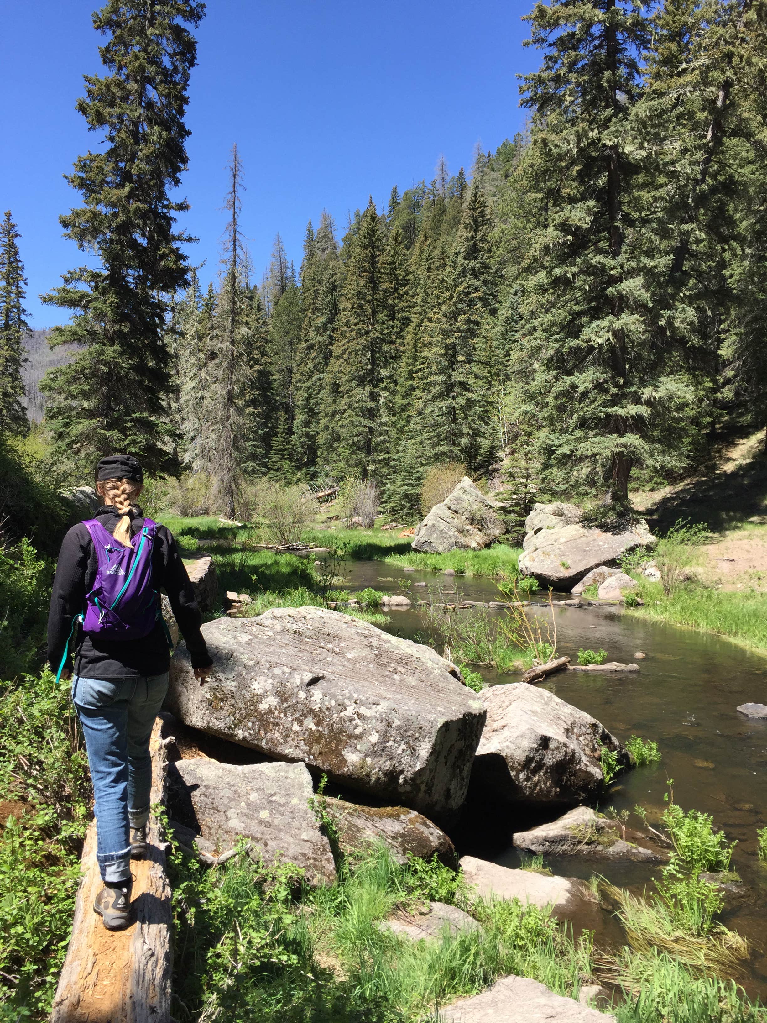 Camper submitted image from Las Conchas Trailhead - Primitive Climber's Camp - 5
