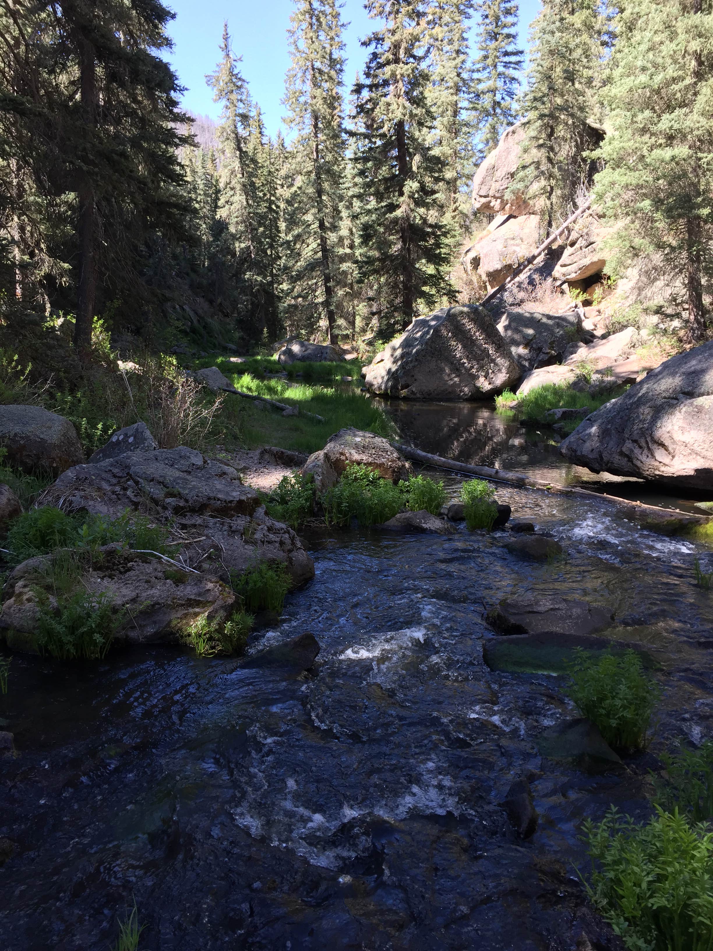 Camper submitted image from Las Conchas Trailhead - Primitive Climber's Camp - 4