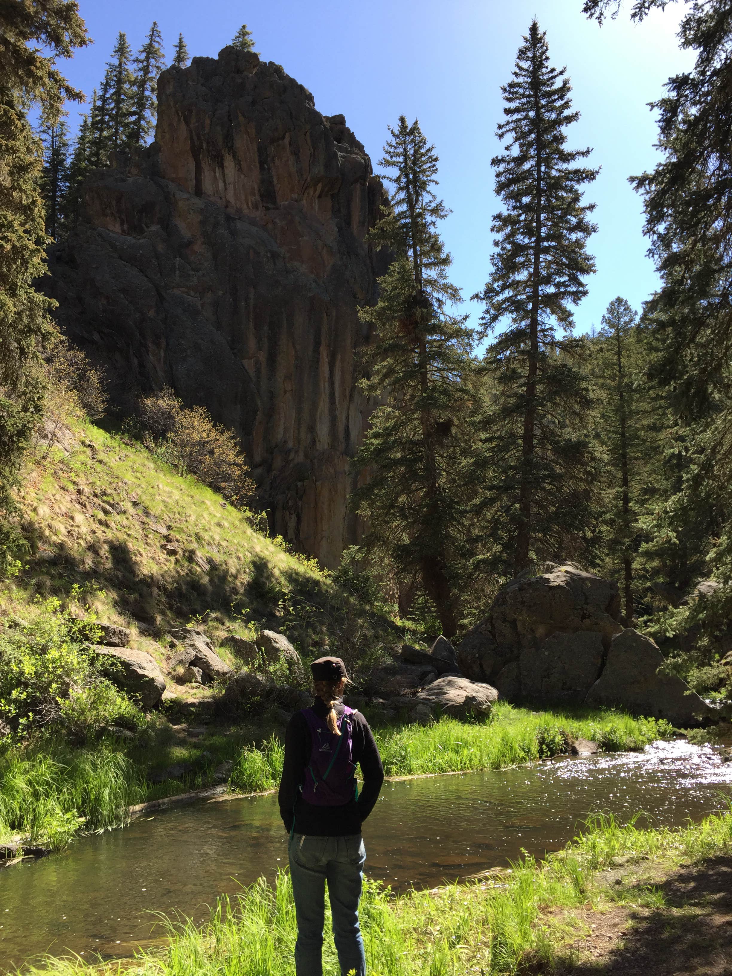 Camper submitted image from Las Conchas Trailhead - Primitive Climber's Camp - 3