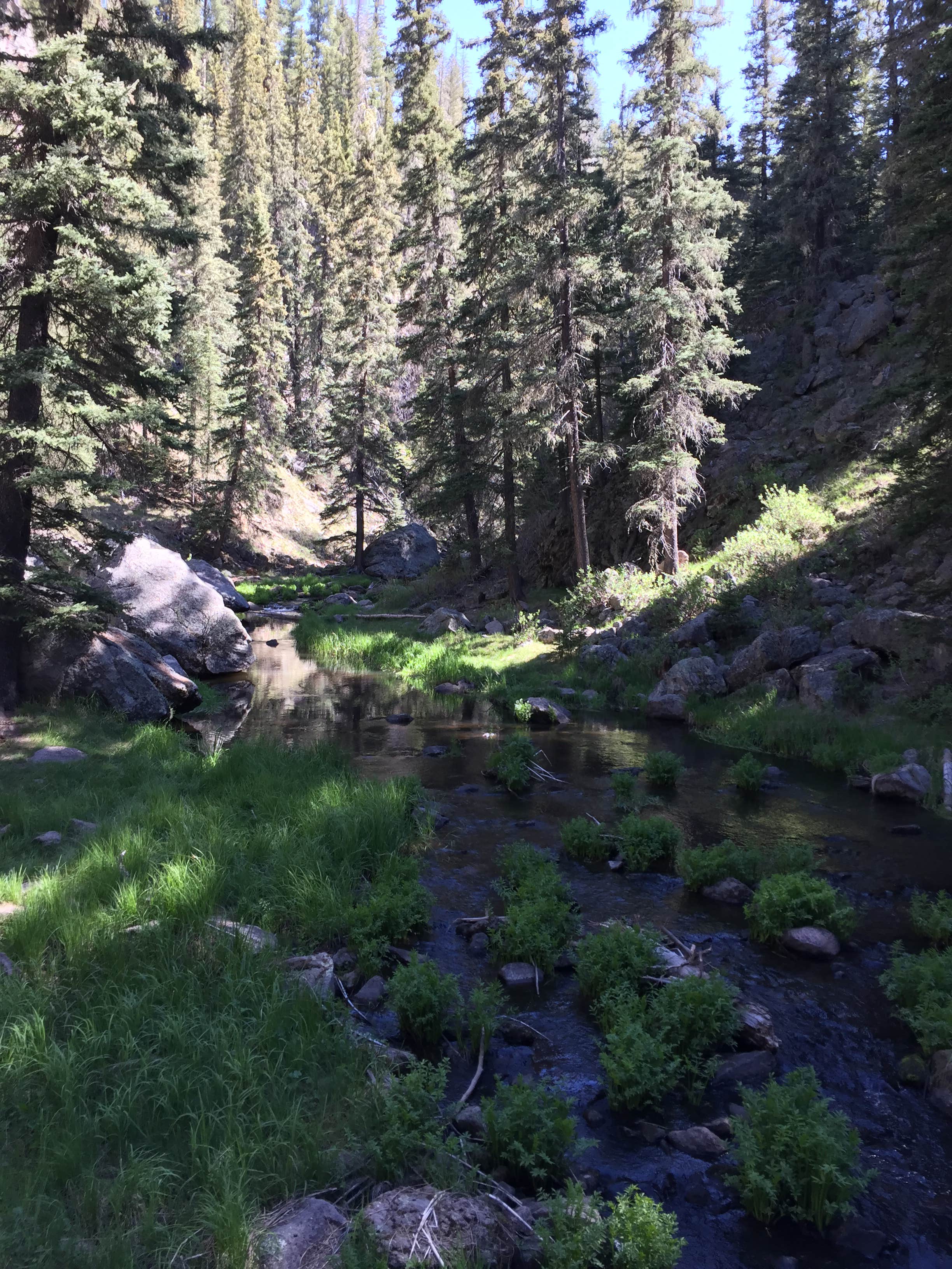 Camper submitted image from Las Conchas Trailhead - Primitive Climber's Camp - 2