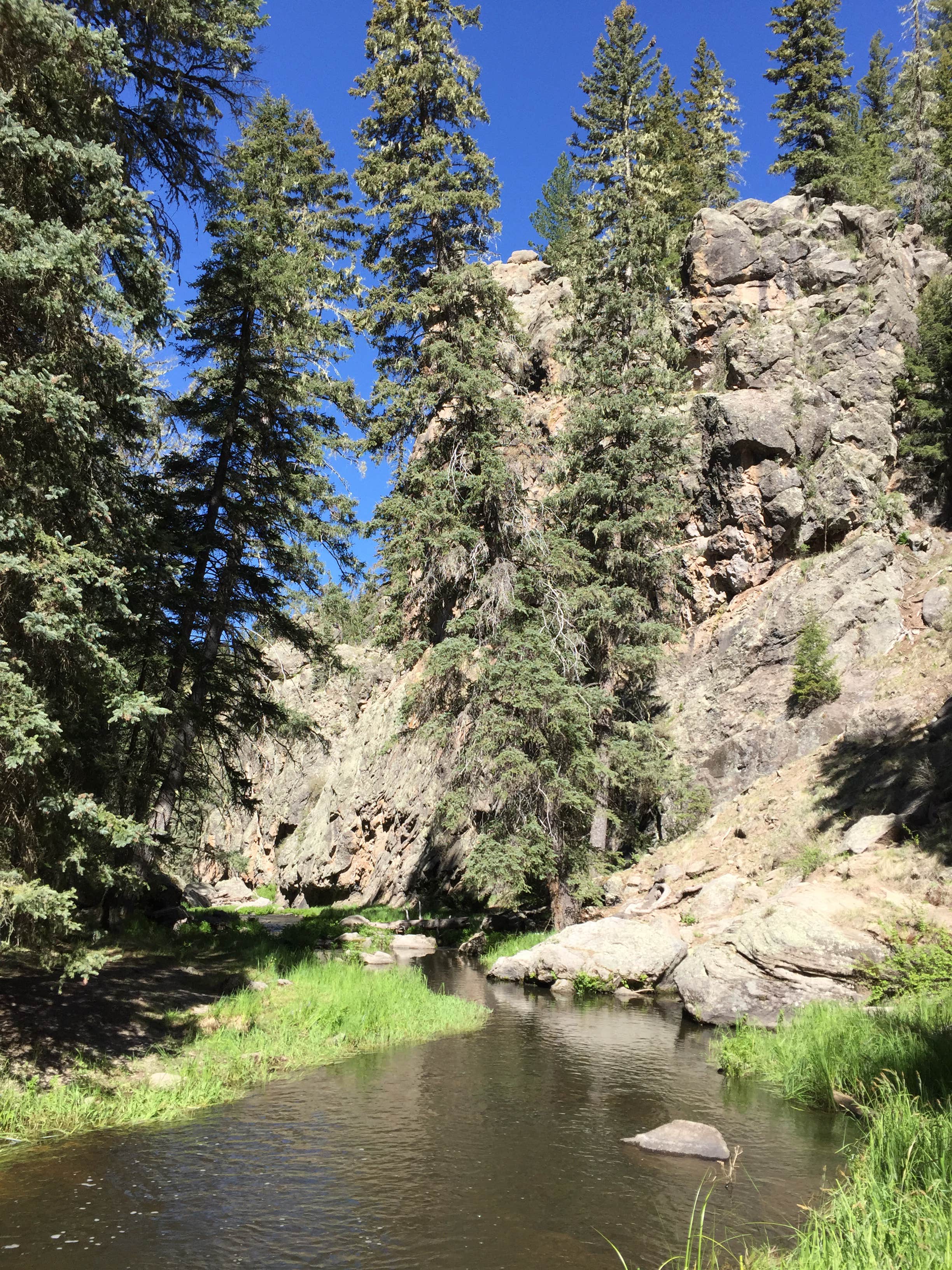 Camper submitted image from Las Conchas Trailhead - Primitive Climber's Camp - 1