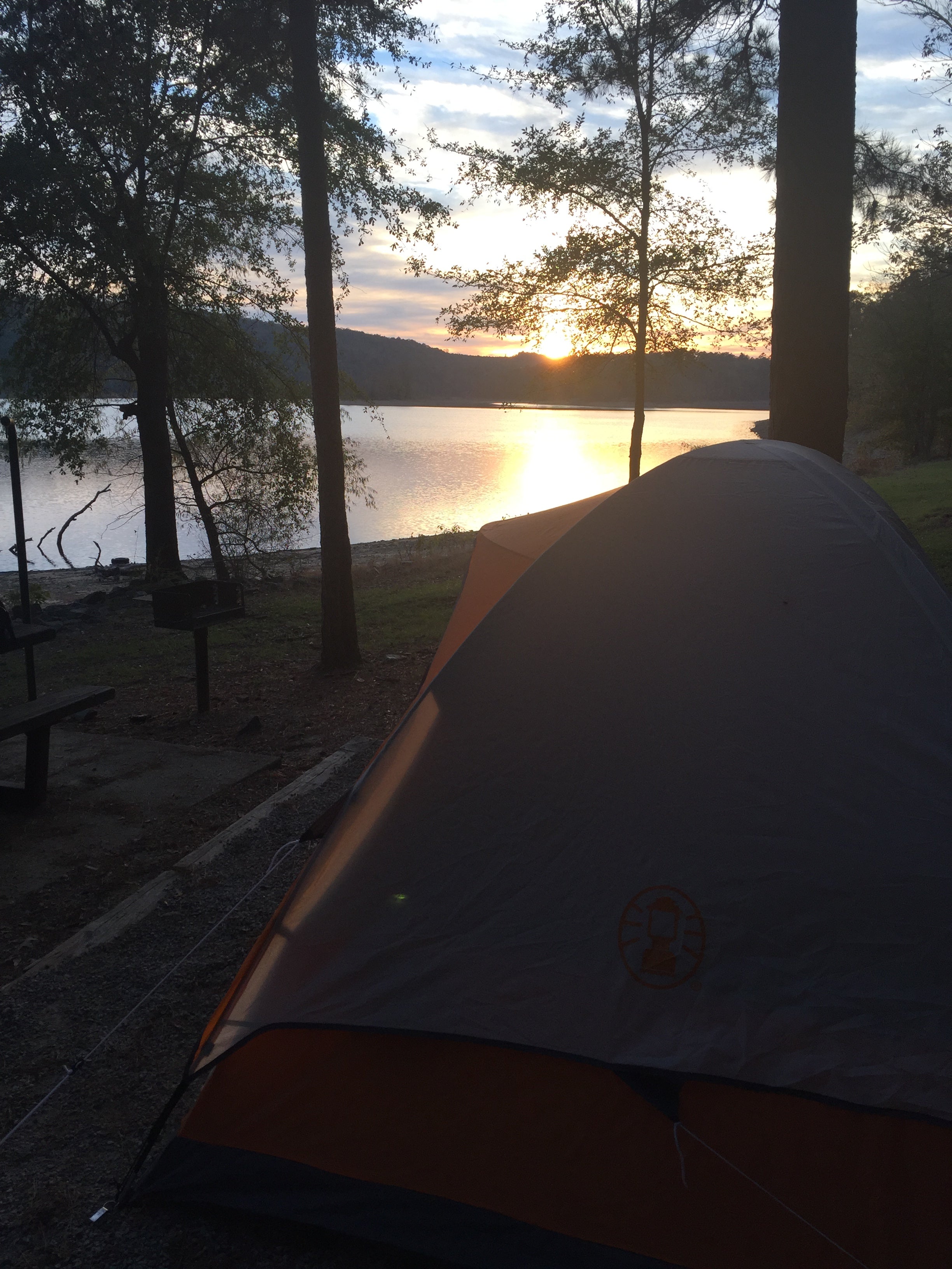 Camper submitted image from Daisy State Park Campground - 4