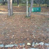 Review photo of Daisy State Park Campground by Chad K., May 29, 2017