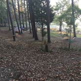 Review photo of Daisy State Park Campground by Chad K., May 29, 2017