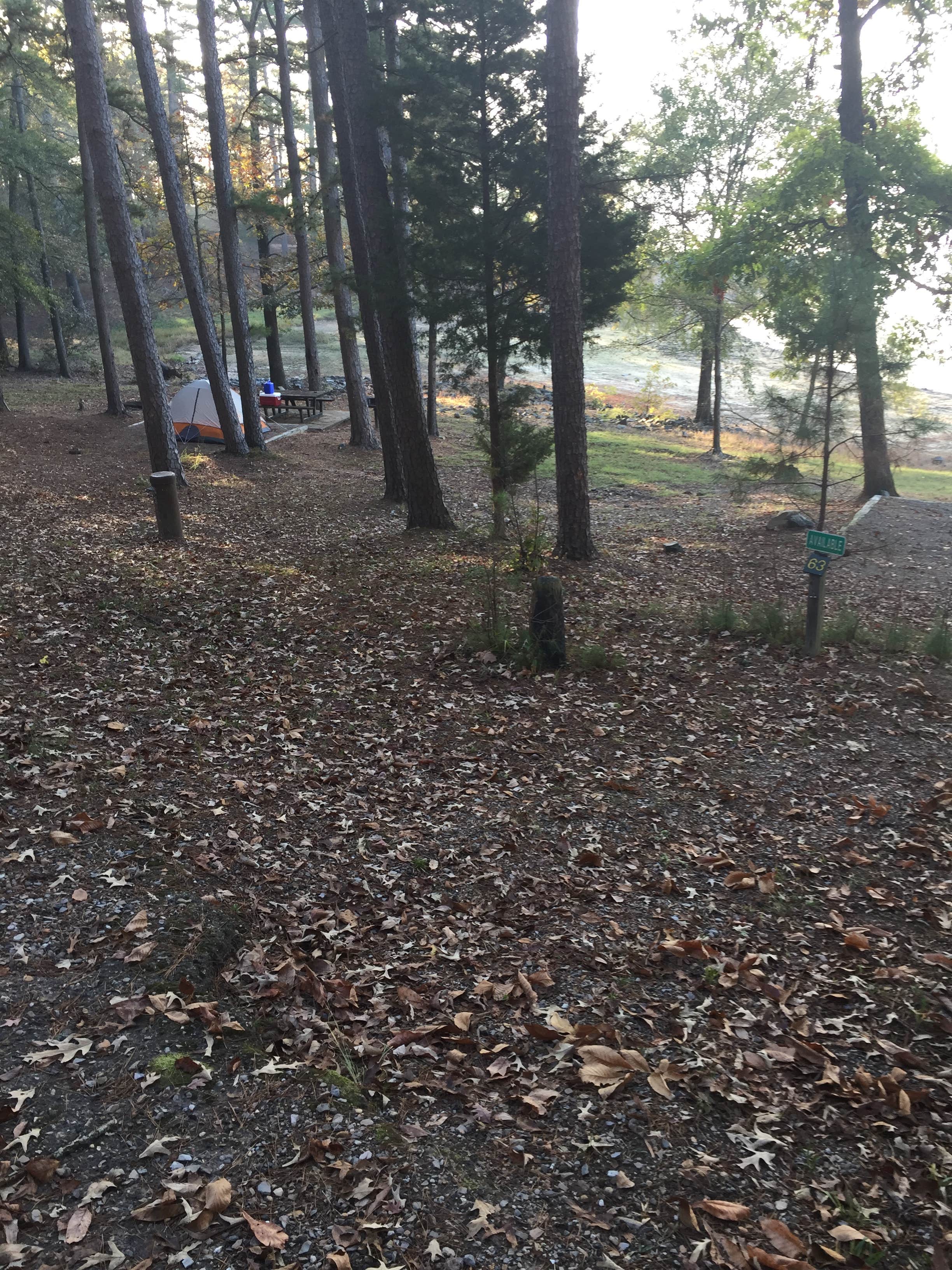 Camper submitted image from Daisy State Park Campground - 2