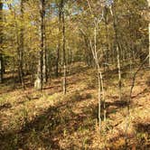Review photo of Gulpha Gorge Campground — Hot Springs National Park by Chad K., May 29, 2017