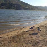 Review photo of Lake Hemet Campground by Joe P., June 18, 2016