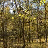 Review photo of Gulpha Gorge Campground — Hot Springs National Park by Chad K., May 29, 2017