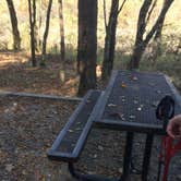 Review photo of Crater of Diamonds State Park Campground by Chad K., May 29, 2017