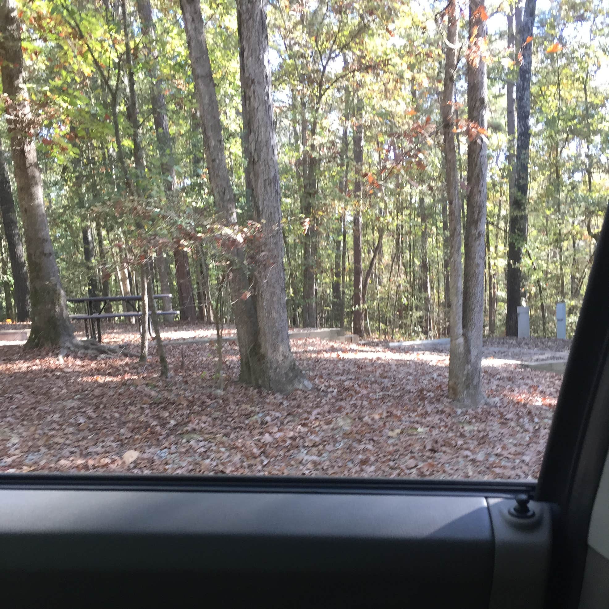 Crater of Diamonds State Park Camping The Dyrt