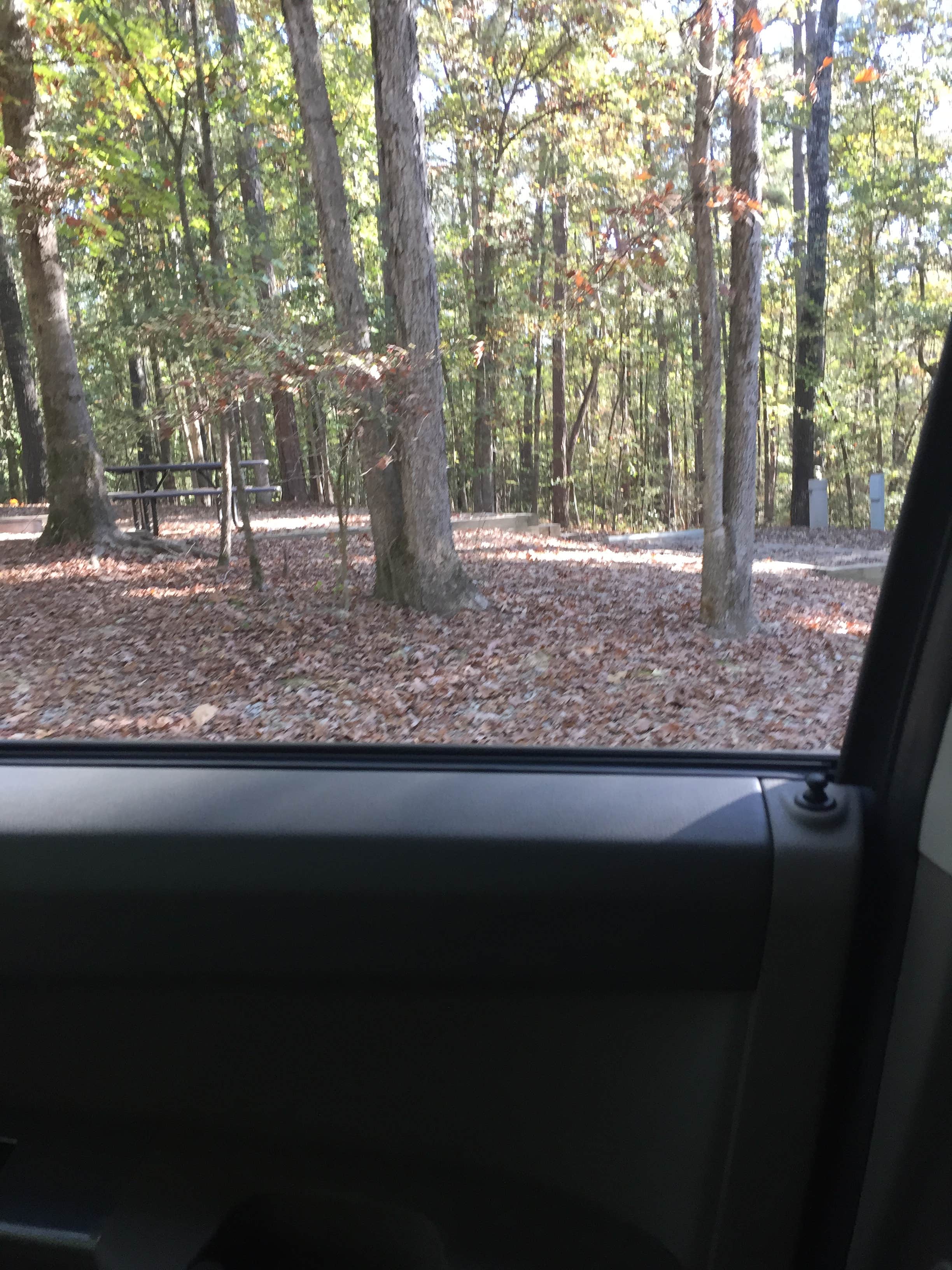 Camper submitted image from Crater of Diamonds State Park Campground - 2