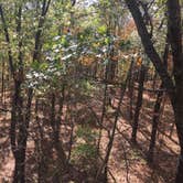 Review photo of Bull Shoals-White River State Park by Chad K., May 29, 2017