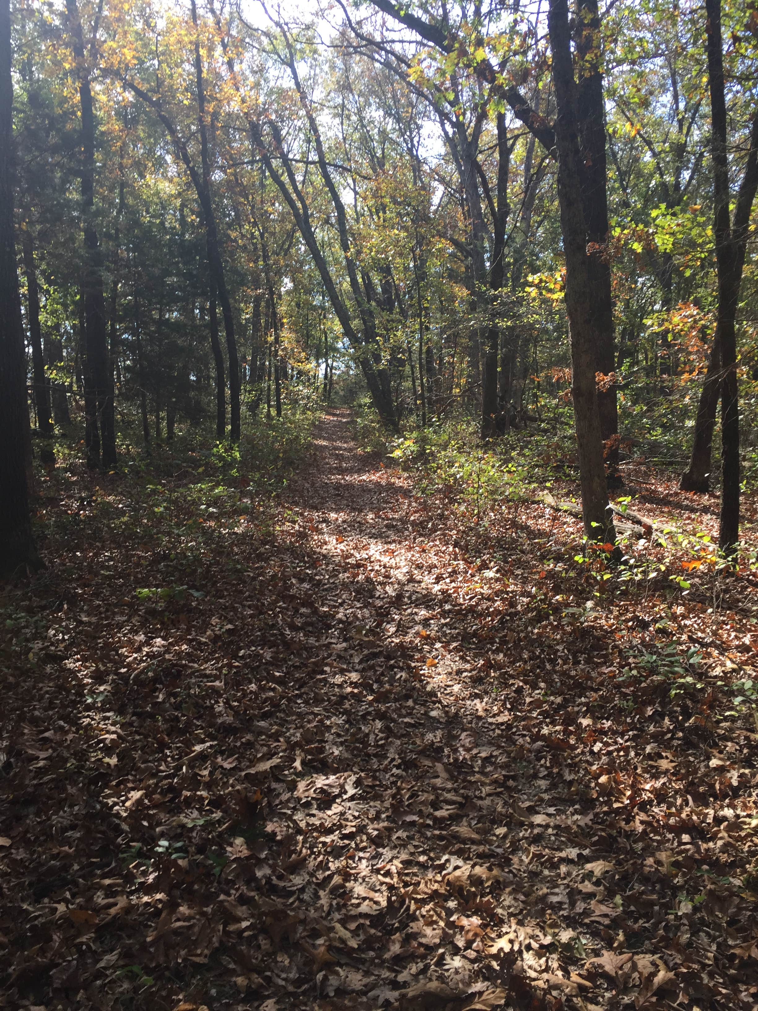 Camper-submitted photo at Bull Shoals-White River State Park near Norfork, AR