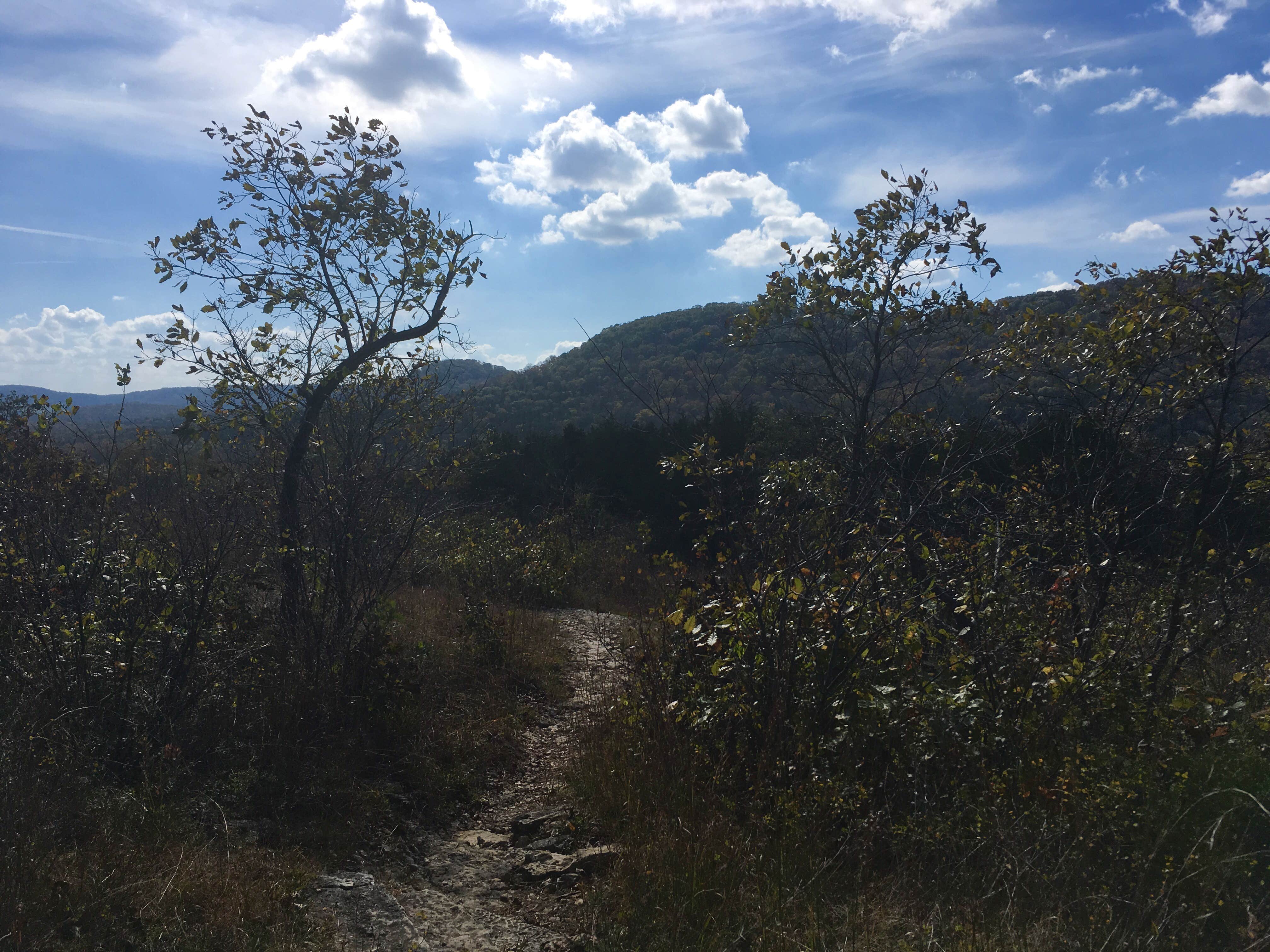 Bull Shoals-White River State Park