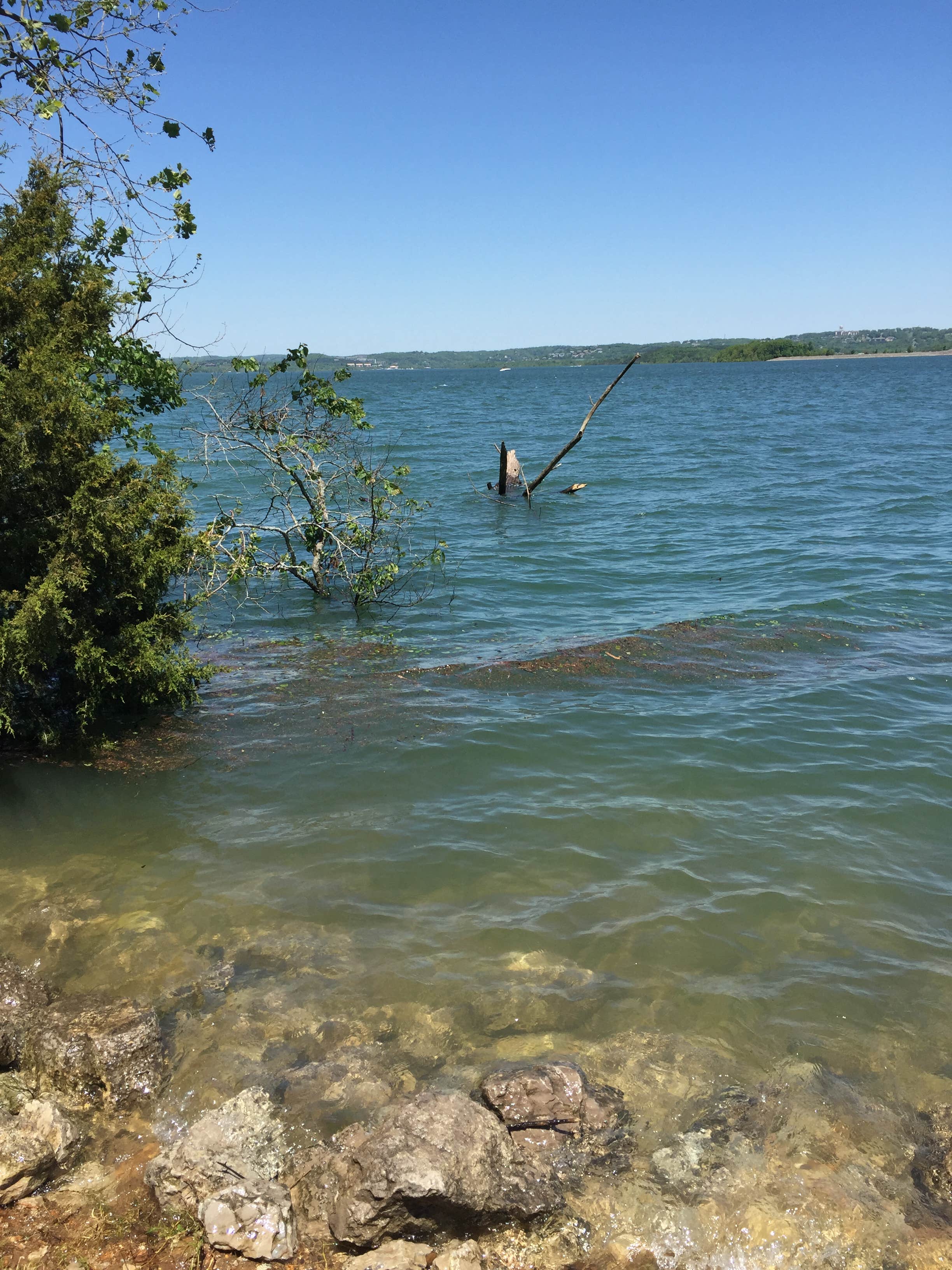 Camper-submitted photo at Bull Shoals-White River State Park near Norfork, AR